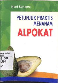 Petunjuk Praktis Menanam Alpokat