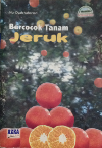 bercocok tanam jeruk