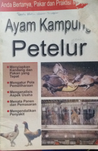 ayam kampung petelur