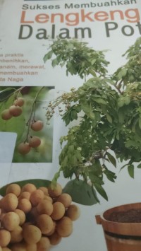 Sukses Membuahkan Lengkeng dalam Pot