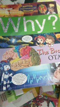 why?the brain otak